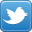 X (Twitter)